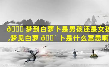 🐟 梦到白萝卜是男孩还是女孩,梦见白萝 🐴 卜是什么意思啊